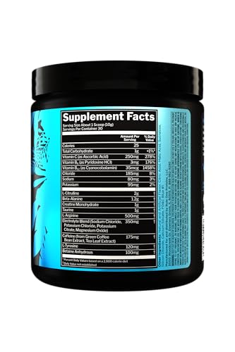 Rule 1 R1 Roar - Pre-Workout Powder with Creatine, Beta-Alanine, Citrulline, Electrolytes & Caffeine (30 Servings, Blue Razz)