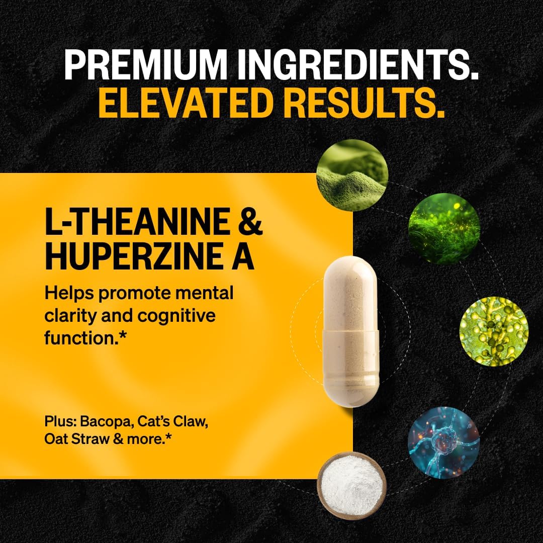 ONNIT Alpha Brain Nootropic Focus Capsules, Nootropics Brain Support Supplement for Memory, Mental Clarity and Cognitive Support with L-Theanine, Vitamin B6 and Huperzine A, 90 Count (Pack of 3)