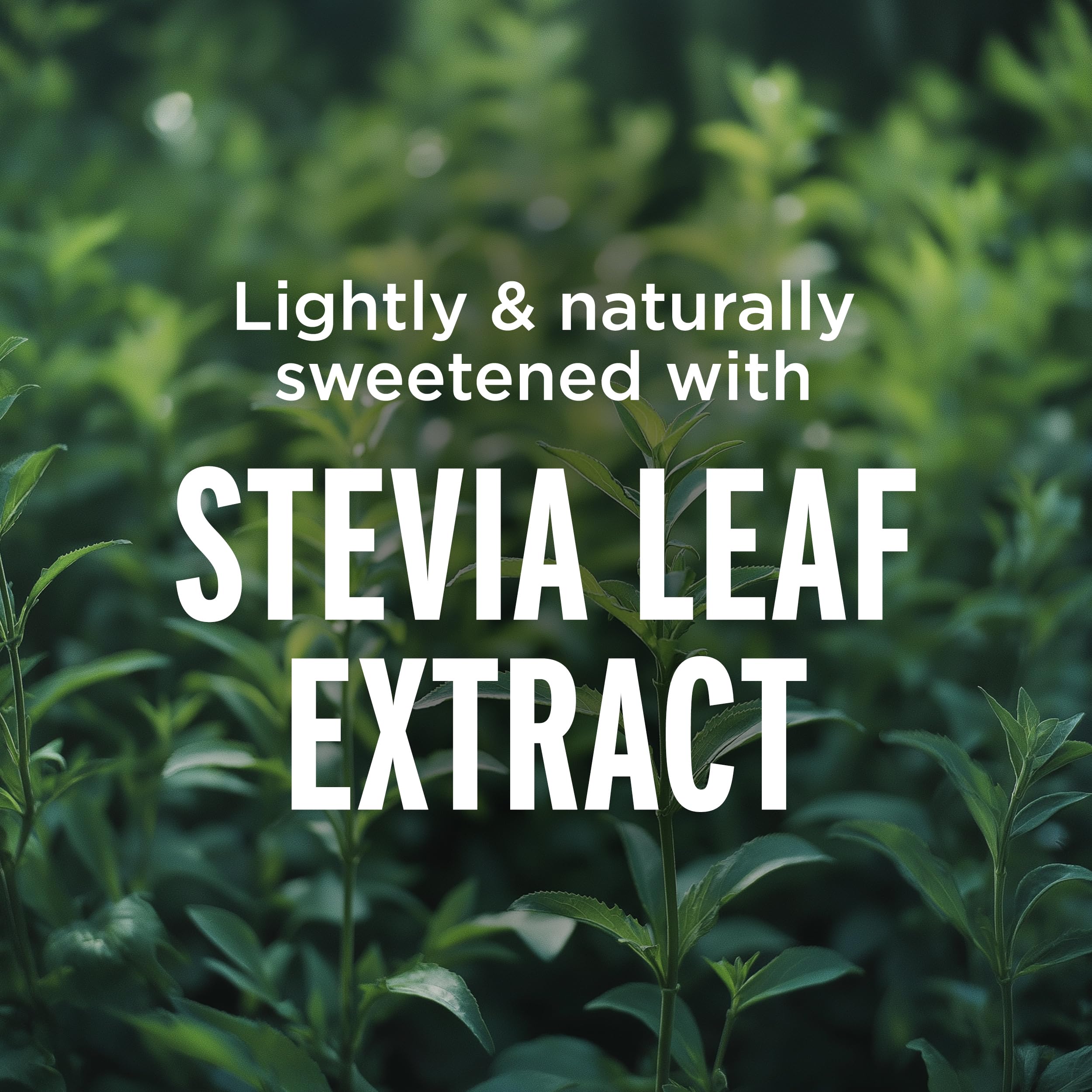 GOLFERAID Performance Blend, Up Your Golf Game, No Caffeine, Glucosamine, Turmeric, MSM, CoQ10, B-Complex, BCAAs and Electrolytes, 40 Calories, 100% Clean, Paleo, Vegan, 12-oz. cans (Pack of 24)