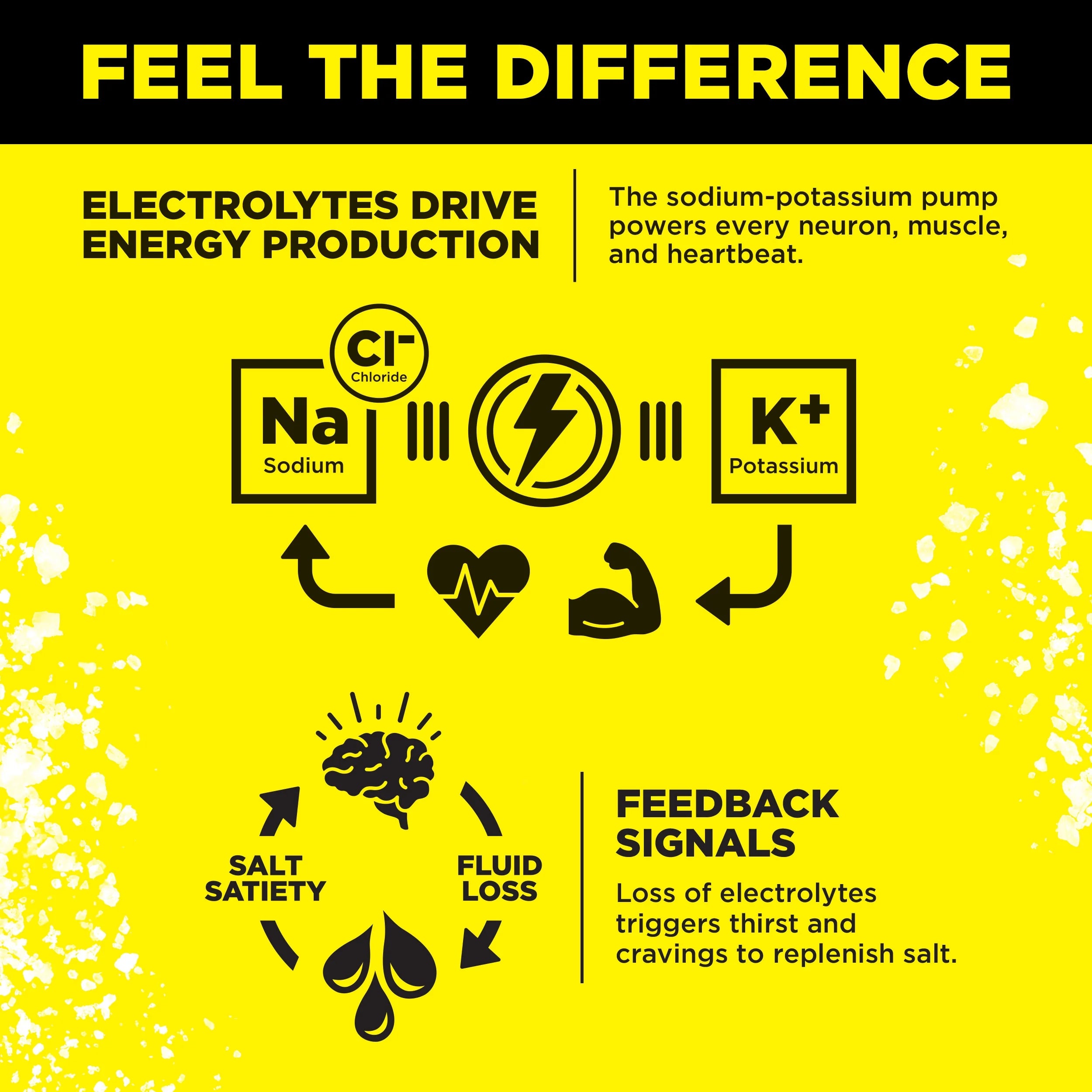 Zero Sugar Electrolyte Drink Mix - Lemonade - 6 Count